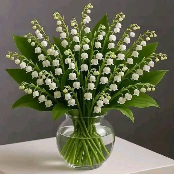 Non rifiutare questo mughetto, fra due ore arriverà la tua fortuna.