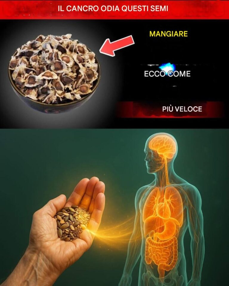 Il cancro odia questi 5 semi: anziani, mangiateli ogni giorno (combatti il ​​cancro in modo naturale)
