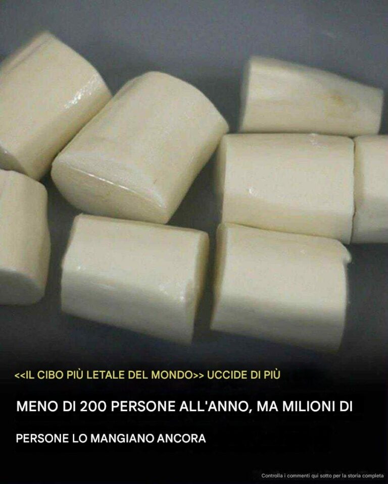 Il "cibo più letale al mondo" miete oltre 200 vittime ogni anno, eppure quasi 500 milioni di persone continuano a mangiarlo.
