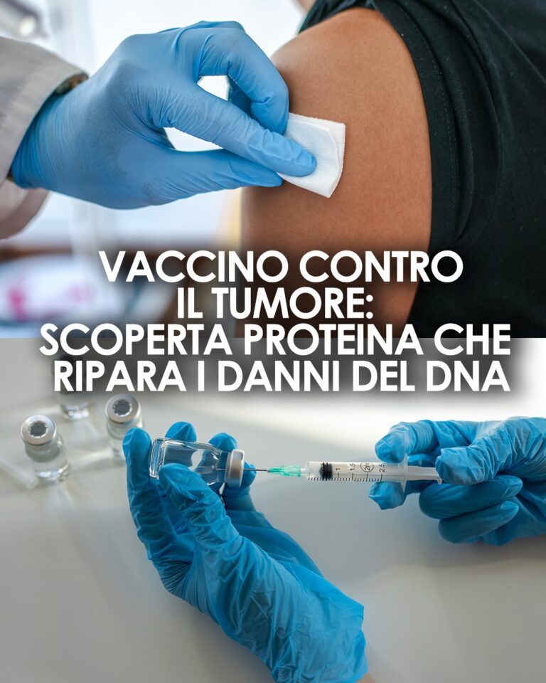 Scoperta la proteina DdrC che ripara il DNA