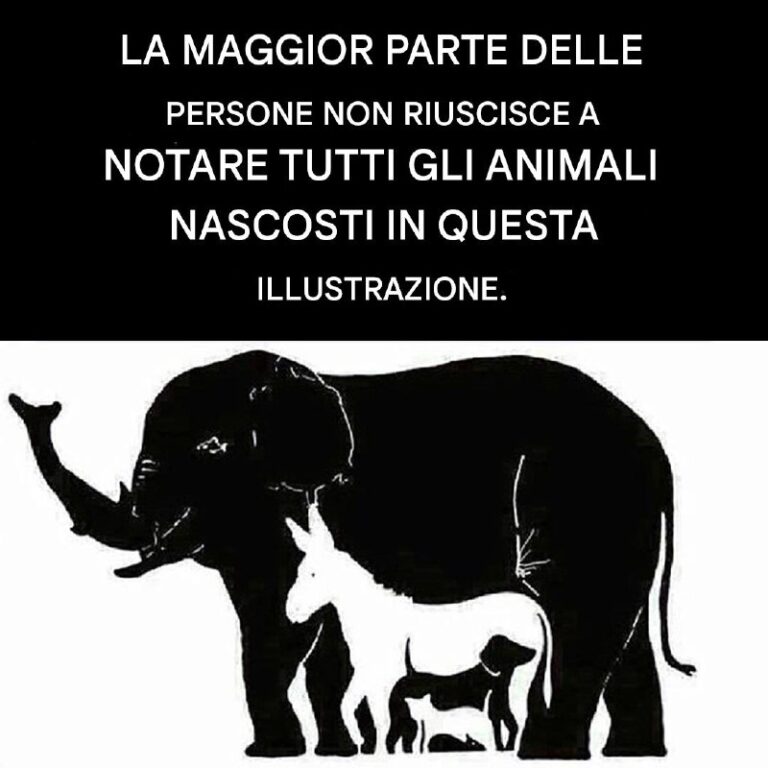 Solo le persone con un QI elevato riescono a individuare più di sei animali. Quanti ne vedi?