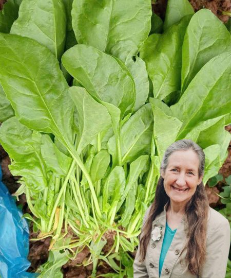 I medici rivelano che mangiare spinaci provoca