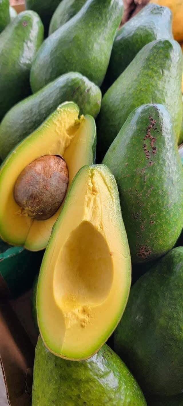 I medici rivelano che il consumo di avocado provoca… vedi di più