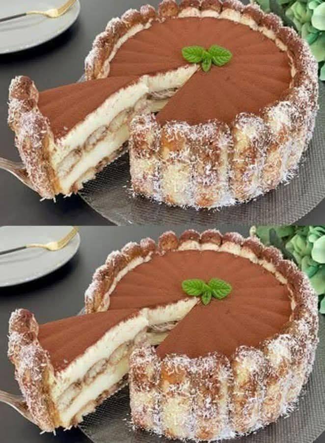 Torta Charlotte al Tiramisù