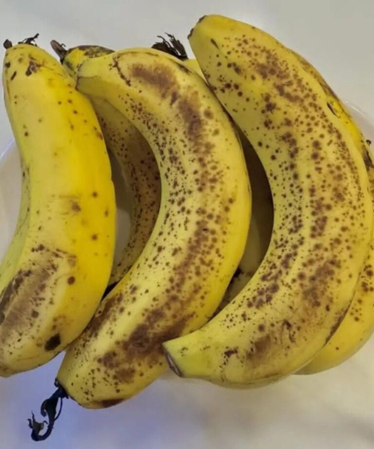 I Medici Rivelano Che Mangiare Banane Di Sera Porta a…
