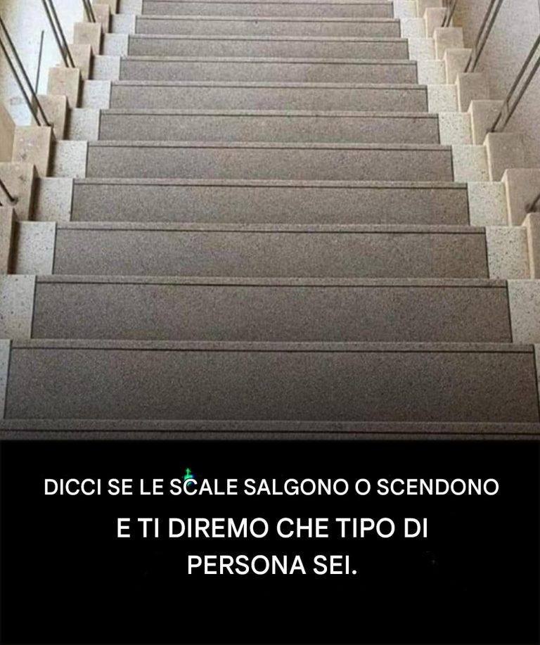 Scala: riesci a vederla salire o scendere?