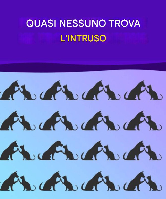 Trova l’intruso e allena il tuo cervello come un campione