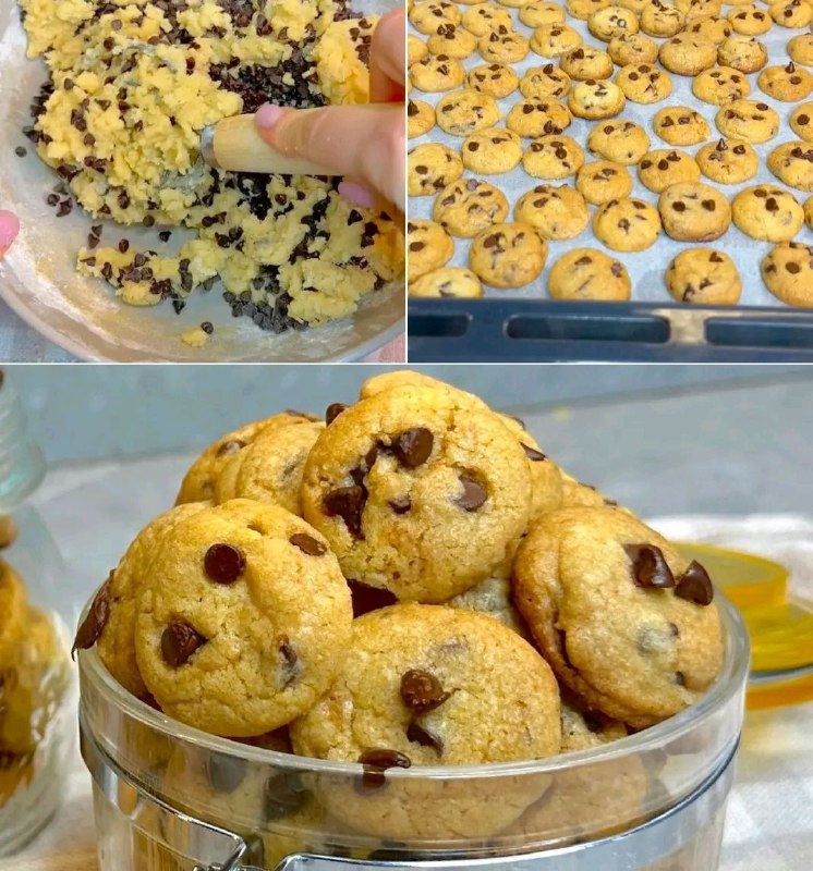 Mini cookies: la ricetta dei biscottini da colazione ideali da inzuppare