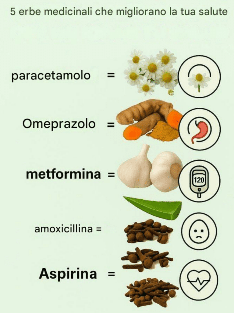 Il potere curativo di 6 piante che possono sostituire i tuoi medicinali