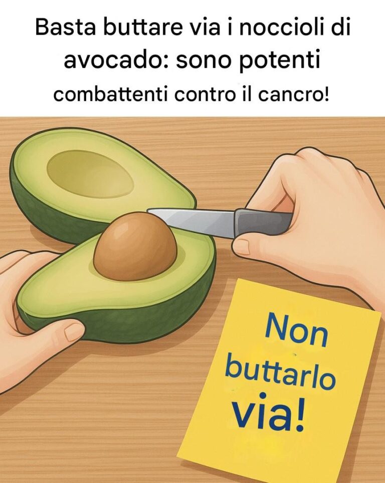Basta buttare via i noccioli di avocado: sono potenti combattenti contro il cancro!