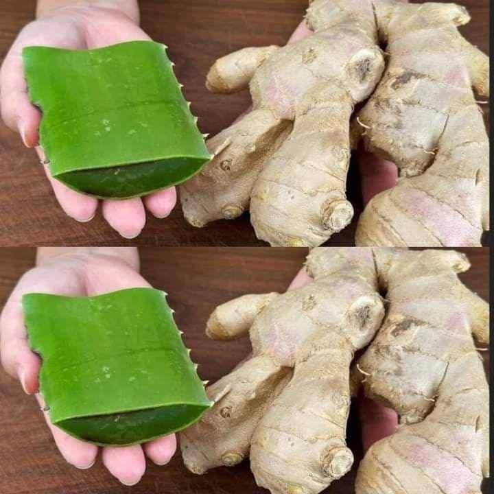 Elisir della Giovinezza: Collagene Naturale Fai da Te che Rivitalizza dall’Interno