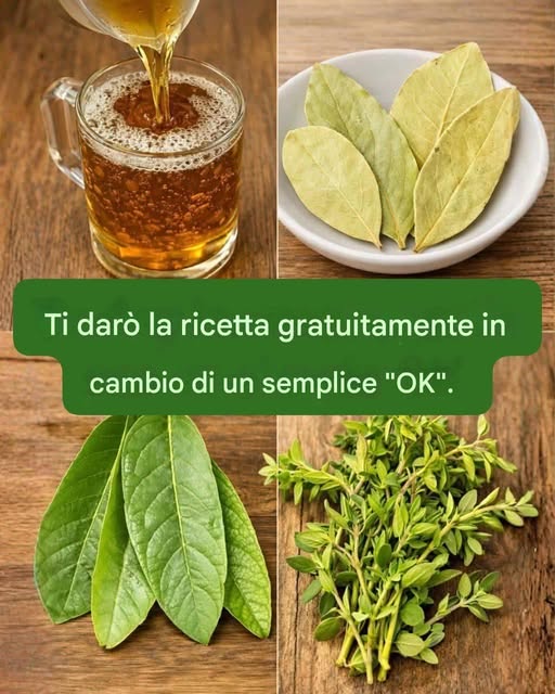 La foglia che è una benedizione di Dio: l’alloro.