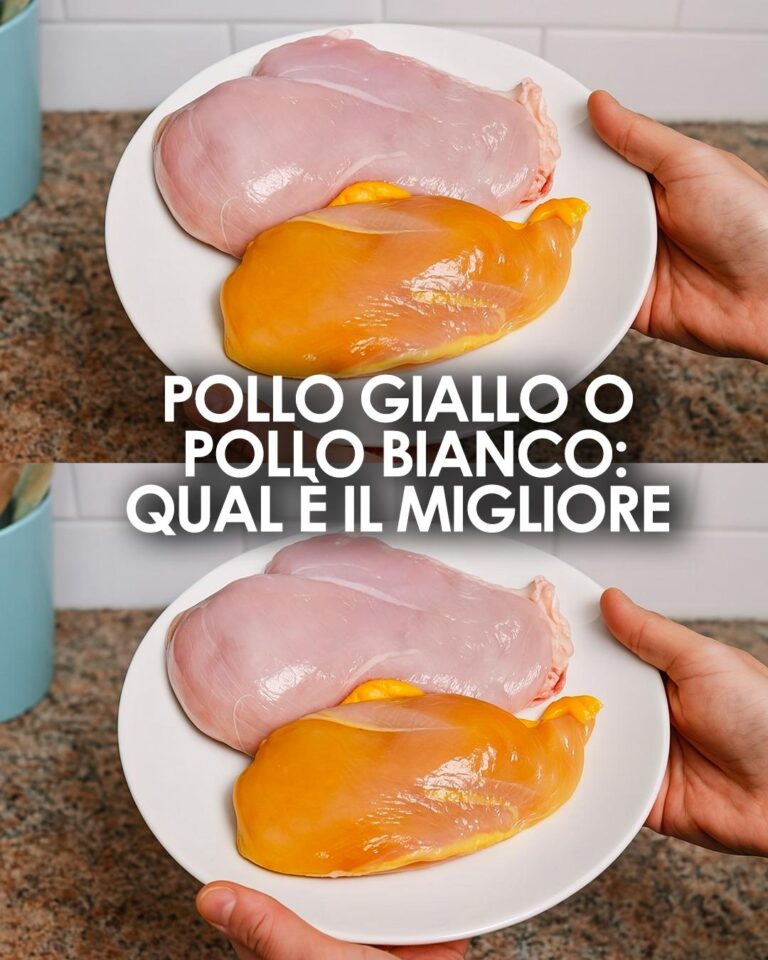 Qual è la differenza tra il pollo giallo e il pollo bianco: una guida per la scelta