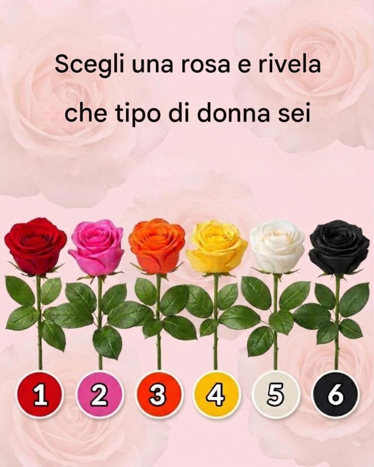 Scegli una rosa e scopri i tratti nascosti della tua personalità.