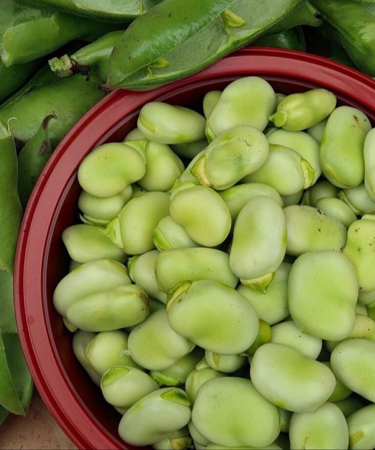 Fave: rafforzano le ossa, abbassano i livelli di zucchero nel sangue e di colesterolo e migliorano la memoria.