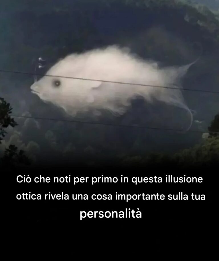 Questo test visivo rivela i tratti della tua personalità in base a ciò che vedi per primo.