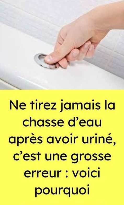 Dopo aver visto questo, non tirerete mai più lo sciacquone allo stesso modo.