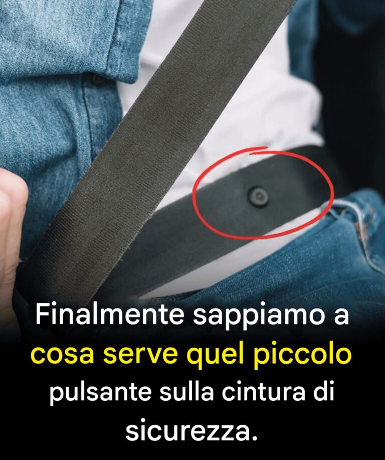 Quel piccolo bottone sulla cintura non è lì per caso: ma pochi sanno perché.