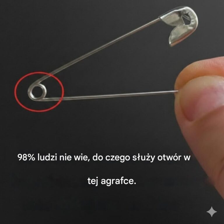 Funzione nascosta del foro rotondo nel perno