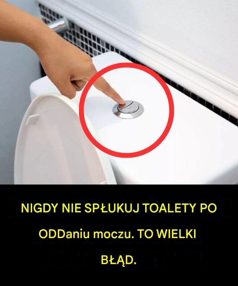 "Perché è così importante non tirare lo sciacquone dopo ogni utilizzo del bagno? Scopritelo nel primo commento."