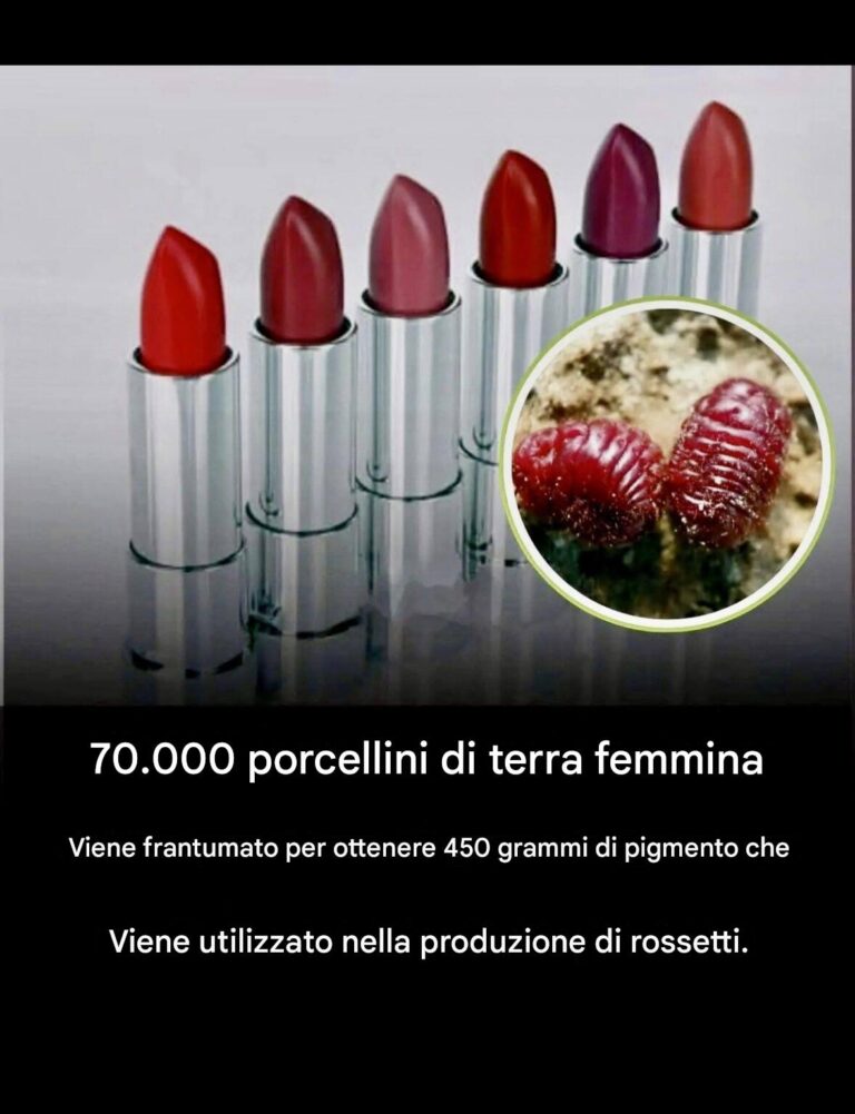 🔹💄 Vi siete mai chiesti da dove provenga il colore del rossetto...? 😳