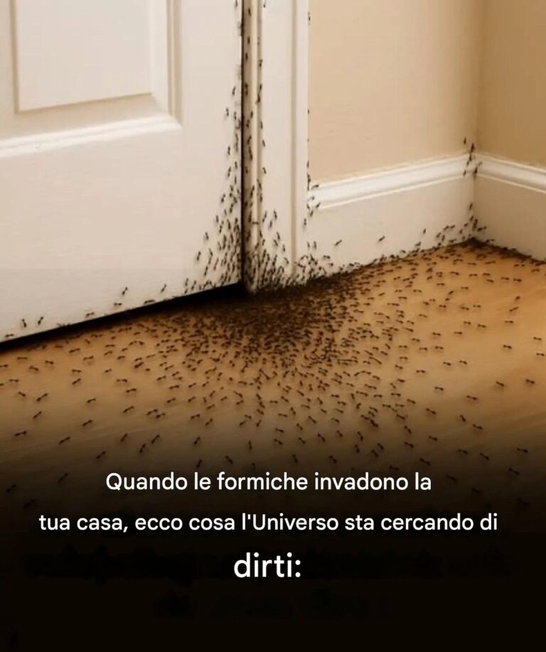 Quando le formiche attaccano la tua casa, ecco cosa sta cercando di dirti l'universo.