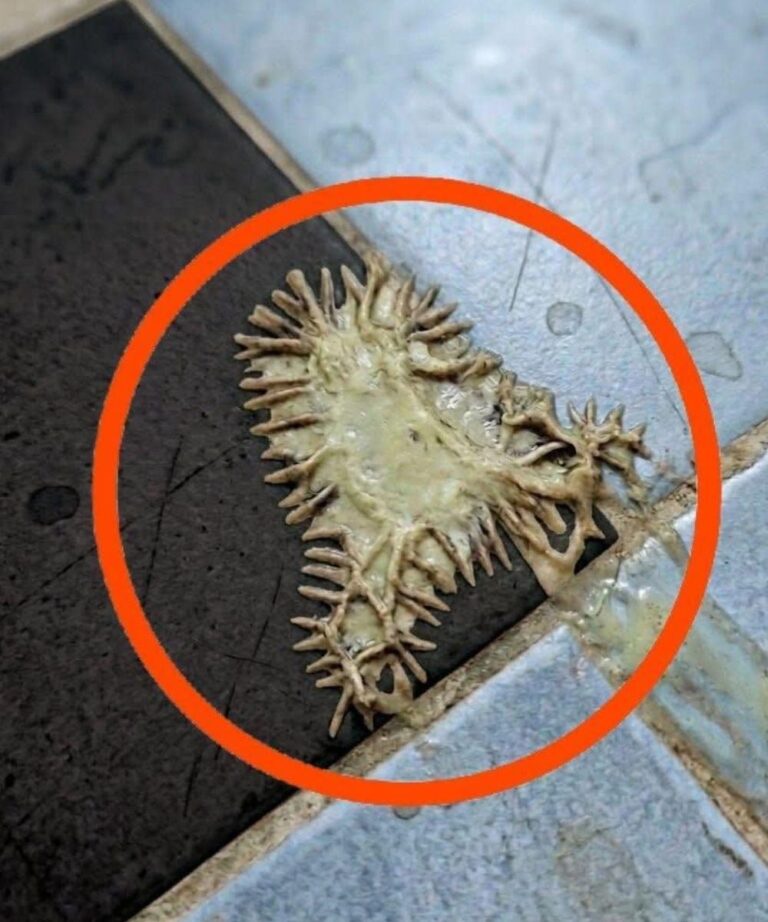 Abbiamo scoperto della muffa in bagno.