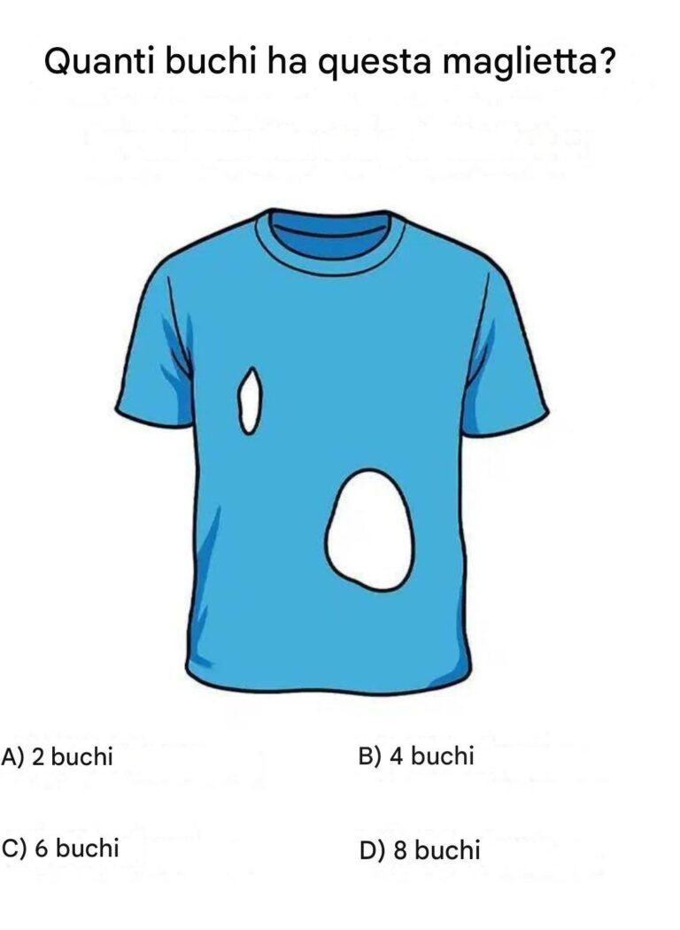Questa semplice immagine di una maglietta sta facendo impazzire il web: quanti buchi riuscite a vedere?