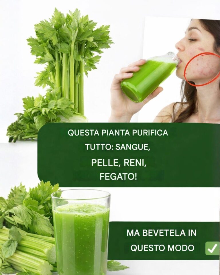 Questa potente pianta verde può aiutare a purificare il sangue, la pelle, i reni, il fegato e il pancreas, ma solo se usata in questo modo