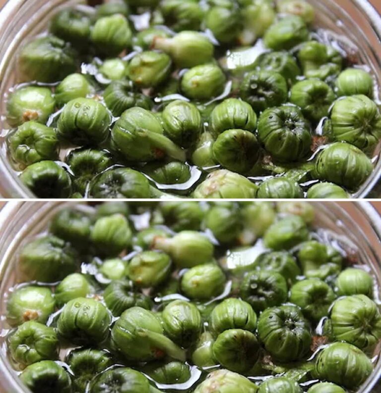 Capperi di tarassaco: una ricetta antica e nutriente che vale la pena provare!