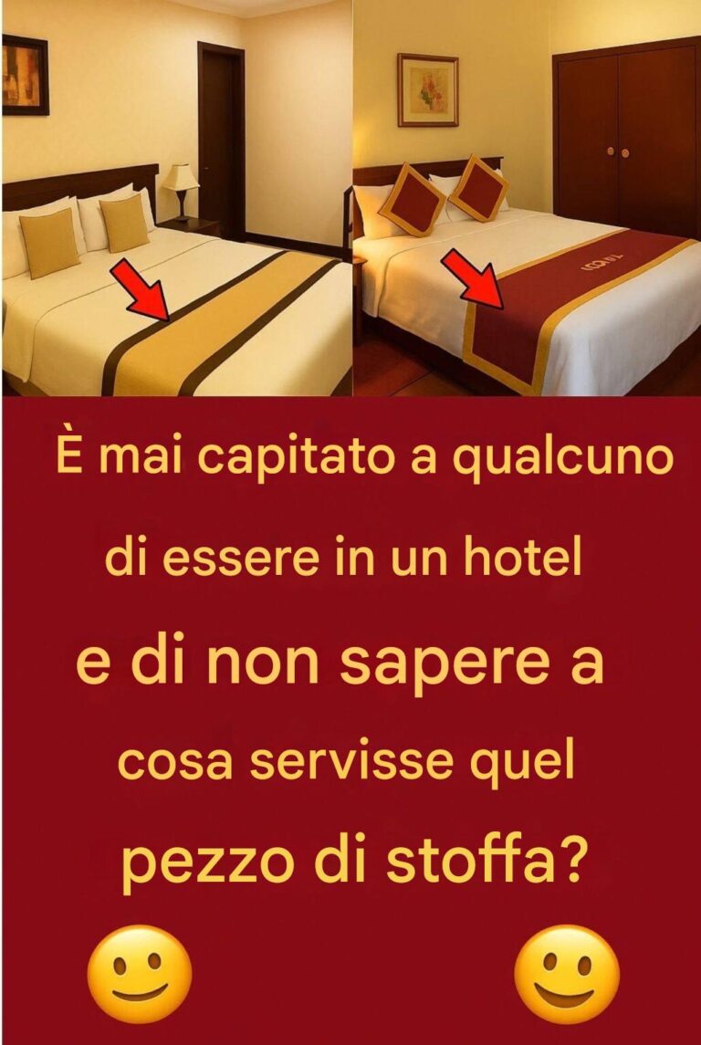 Il misterioso pezzo di stoffa sul letto dell'hotel: sapete a cosa serve? Rimarrete sorpresi! 😱😱😱😱👇🏻👇🏻
