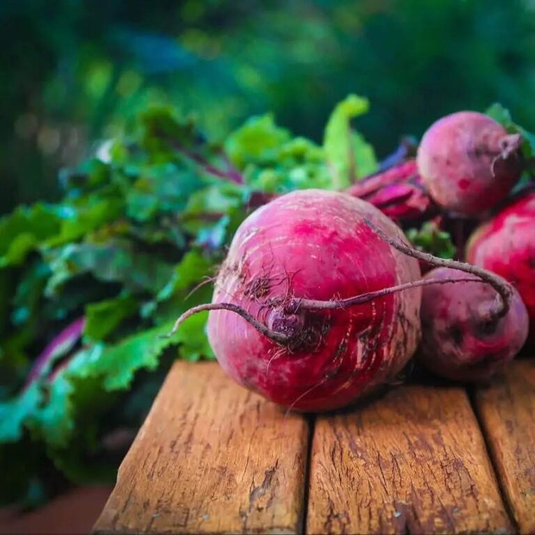 I medici svelano le ragioni dei problemi di salute causati dalle barbabietole 😱😱🤯🤯... Scopri di più