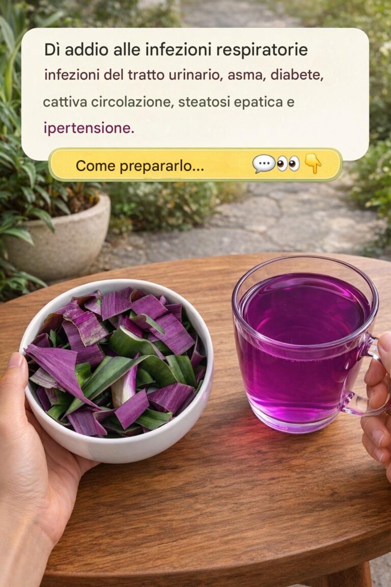 Agave viola: l'antica saggezza azteca incontra il benessere moderno – scopri il suo sorprendente potenziale curativo.