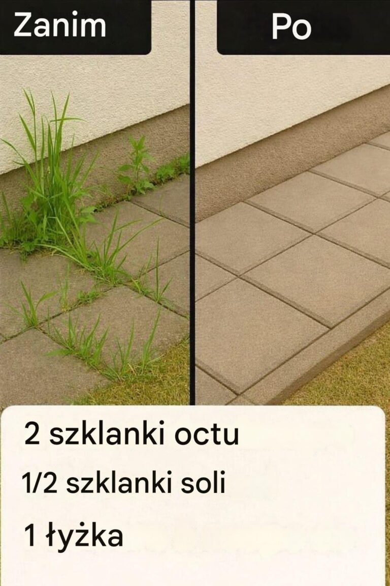 Come preparare un erbicida fatto in casa super efficace