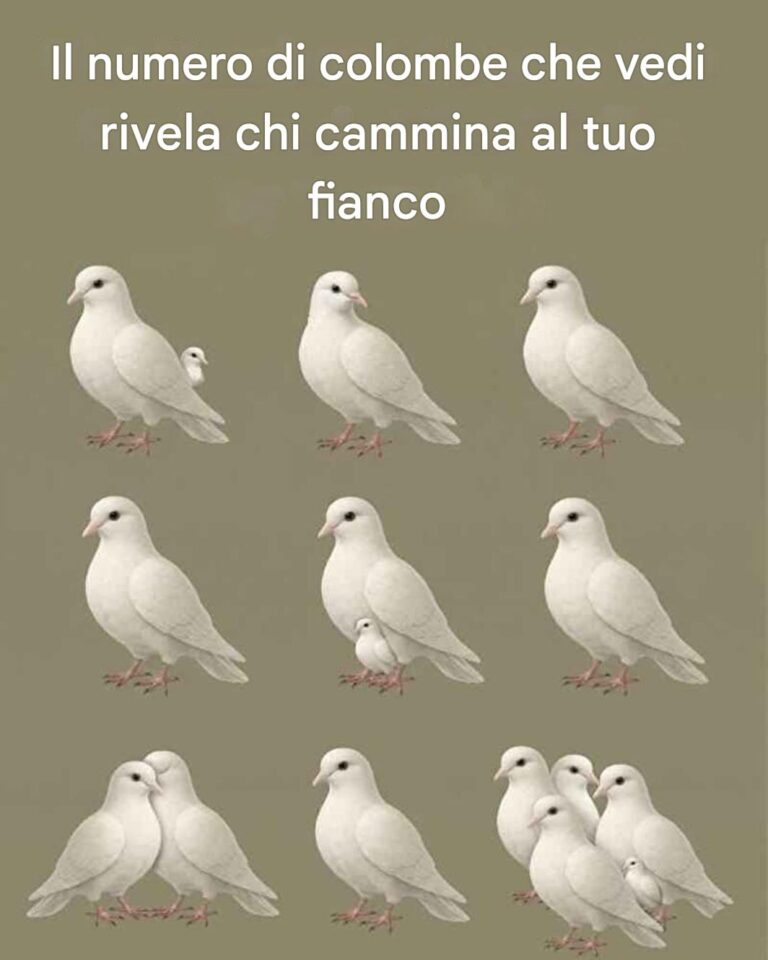 Il numero di colombe che vedi rivela chi cammina al tuo fianco
